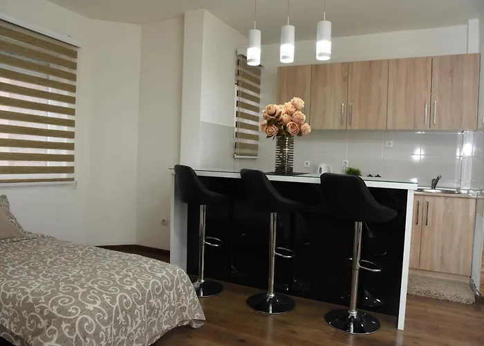 Apartmani Sofronic Loznica 2