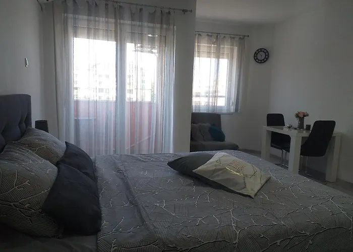 Apartmani Sofronic Loznica 2
