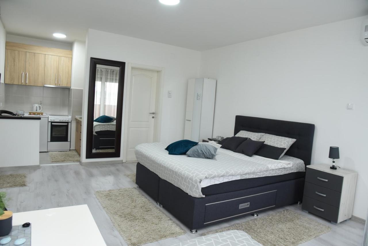 Apartment Sofronic 2 Loznica