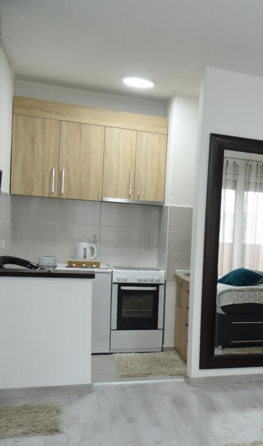 Apartment Sofronic 2 Loznica