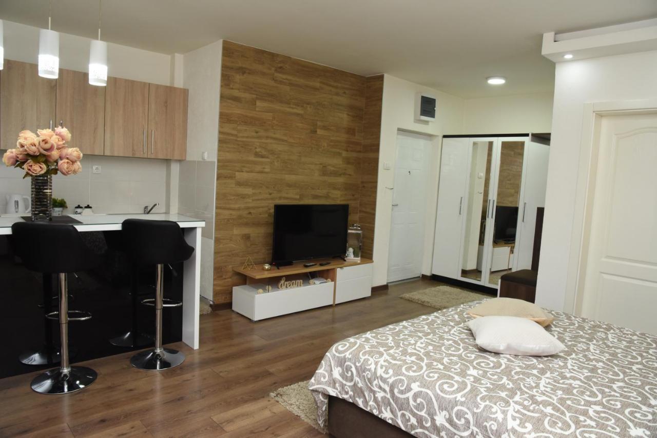 Sofronic 2 Loznica