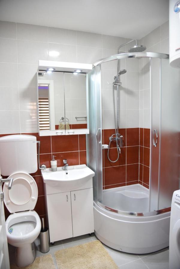 Apartment Sofronic 2 Loznica
